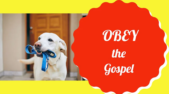 OBEY THE GOSPEL does NOT have anything to do with ...