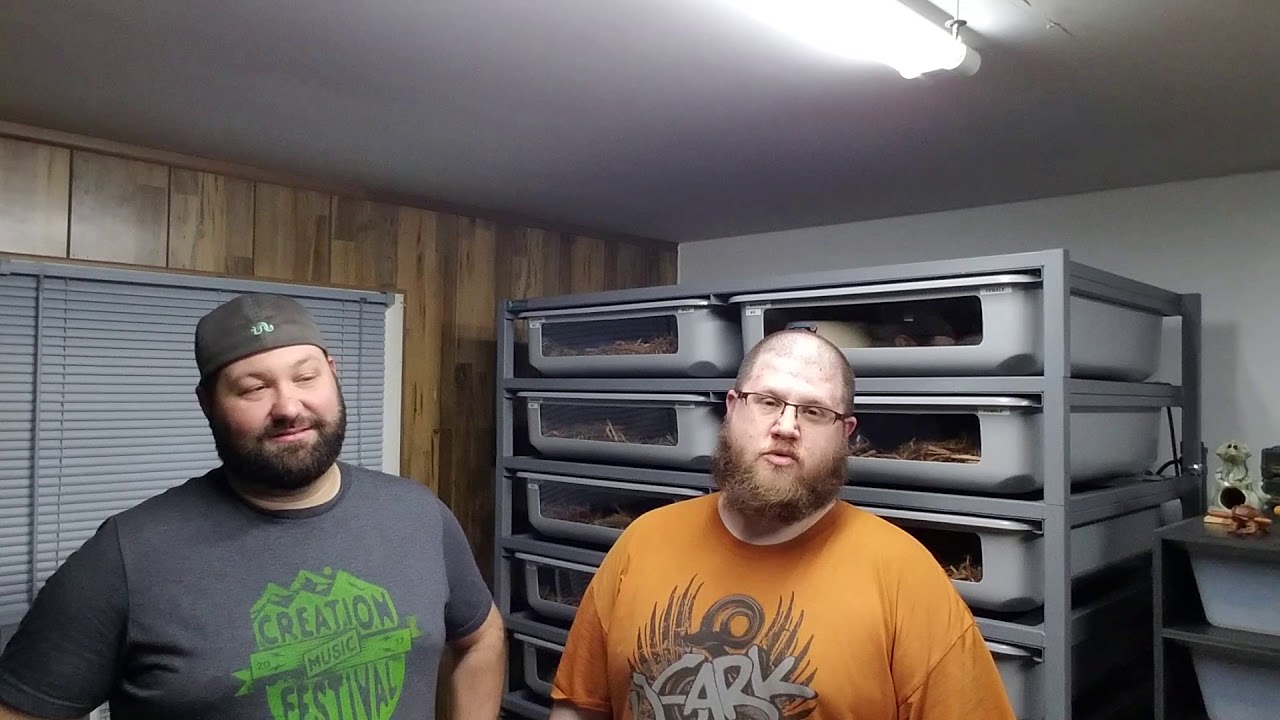 skins exclusivas fortnite Tinley shout outs