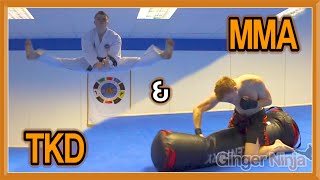 Taekwondo & MMA Sampler on the Versys VS.1