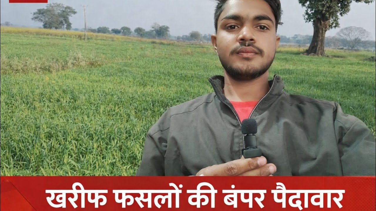 Garibon ka fasal ka dehant gehun chana sarson fasal new video mein Jude Rahe