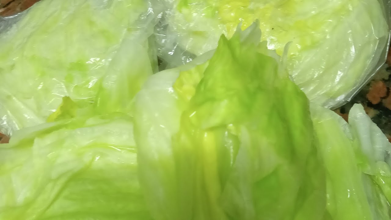 طريقه تخزين الكرنب مع ابداعات ليلي أبو صفا