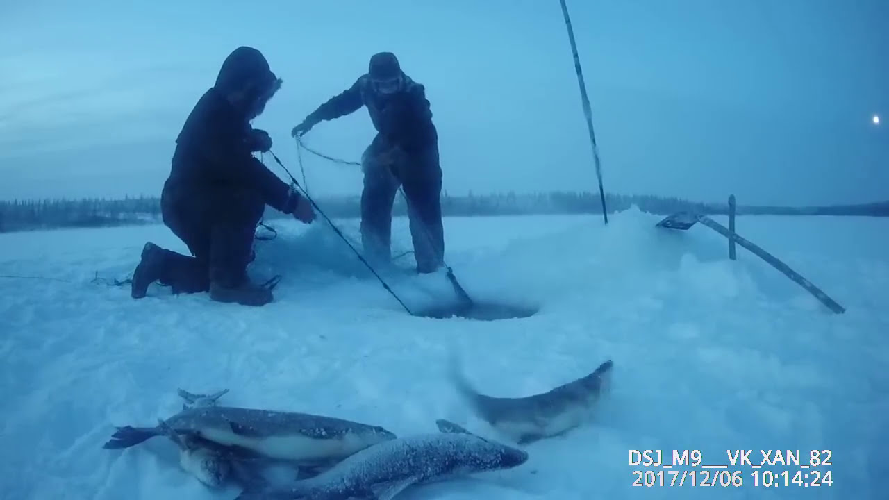 Поймал щуку на озере Маган-Кель + полевая кухня! Якутия Yakutia