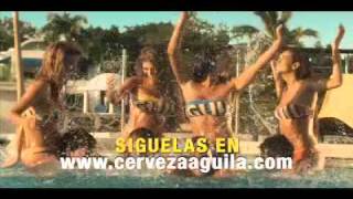 Si Daniela Ocoró Chica Aguila 2011 Te Dice ...?