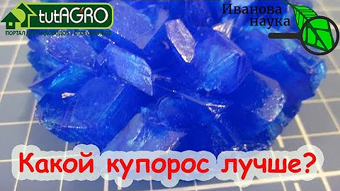 Закупаем КУПОРОС! Какой купорос лучше? Медный VS железный!  Правила использования купороса.