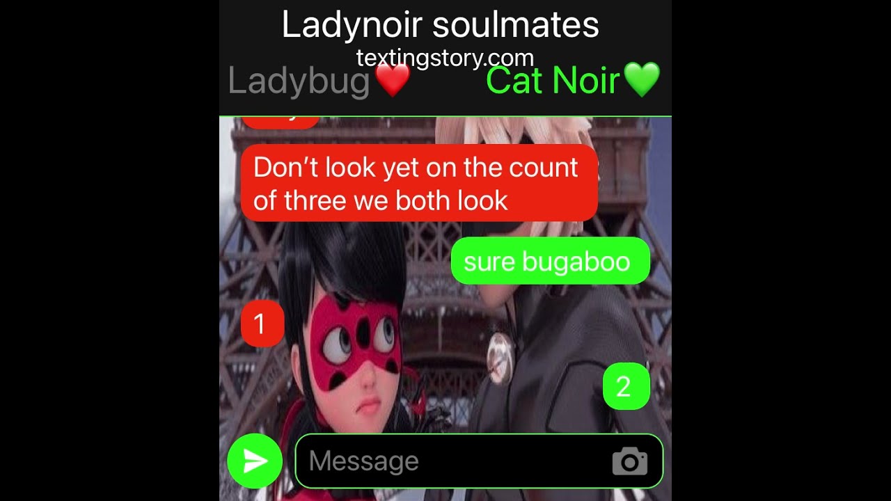 Ladynoir soulmates