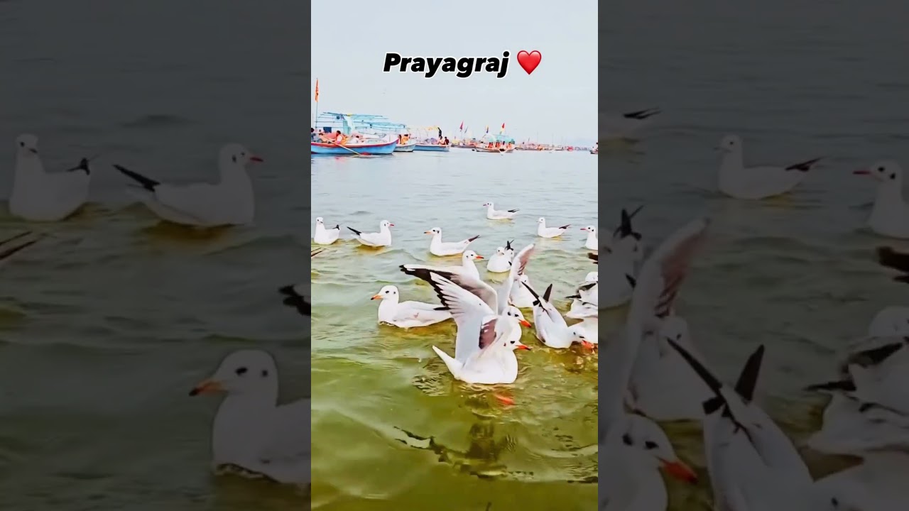 yhi to chahte the tm ki m barbaad ho jau🥹 