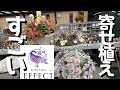 この寄せ植えたち全員クオリティがやばい 福岡最大級園芸店FUKUOKA EFFECT【園芸】【寄せ植え】【フローリスト】
