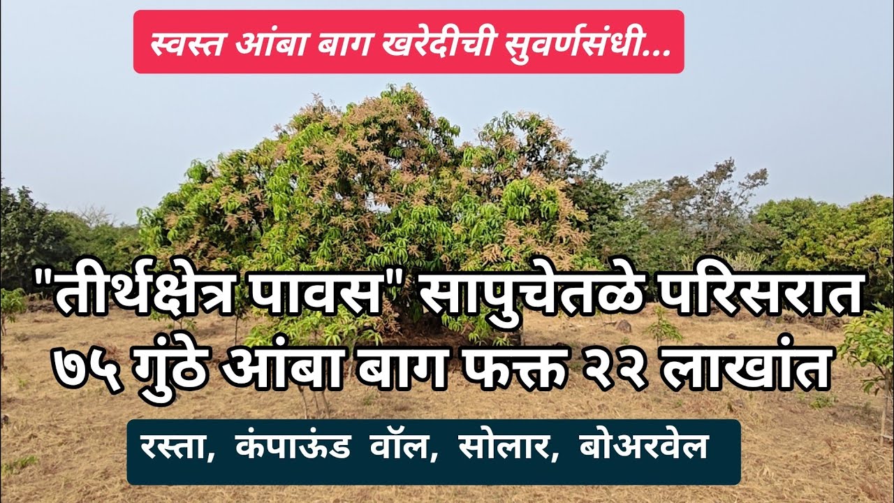 कोंकणात तीर्थक्षेत्र पावस पासून १५ की.मी वर आगप भागात(लवकर आंबा होतो असा ठिकाणी) आंबा बाग विकणे आहे!