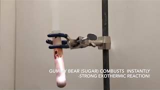Exploding Gummy Bear - Oxidation and Combustion
