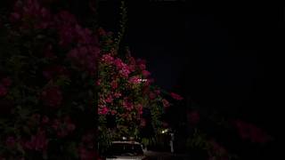 Download Lagu Bas ek dhadak | dhadak 2 | @ShreyaGhoshalOfficial | female version | romantic songs | trending MP3