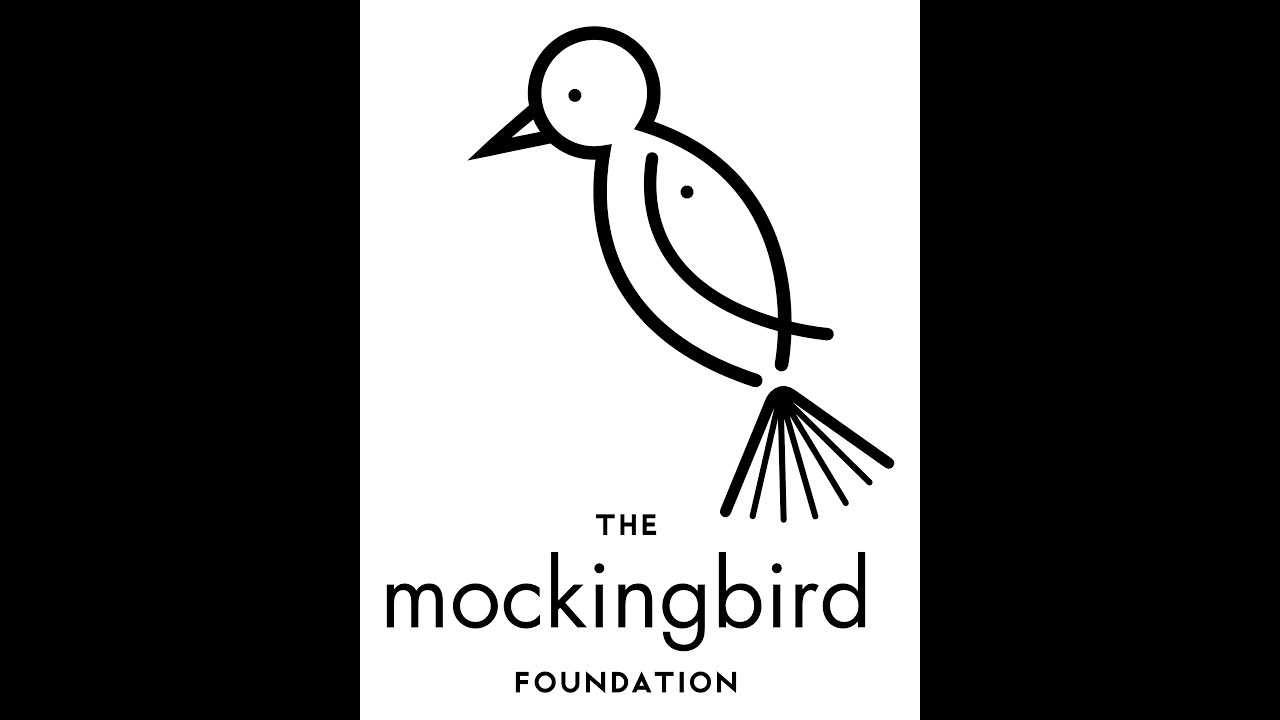 What Is The Mockingbird Foundation? YouTube