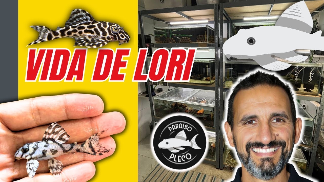 ¡REPRODUCCIÓN DE LORICARIDOS POR TIAGO RALHA! | PARAISO PLECO | EVENTO FIREMOUTH