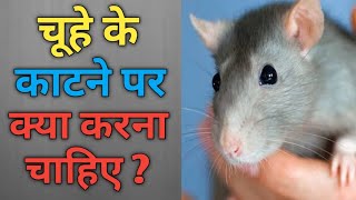 चूहे के काटने पर क्या करना चाहिए | What to do on rat bite | Path 4 Success | screenshot 2