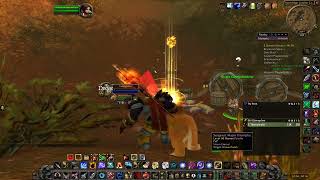 I somehow killed a lv60 Paladin while afk