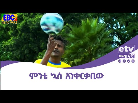 ቪዲዮ: ኳስ ጭልፊት በመዝገበ ቃላት ውስጥ አለ?