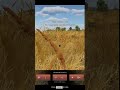 Warthunder - Longshot #warthunder #gaijin #tanks #wargaming #gaming #longshot #BT-5