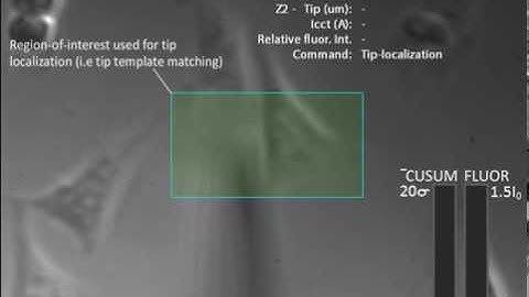 Automated single cell electroporation (Video I: The Automated Routine)