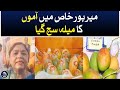 Mango festival organized in mirpur khas  aaj news