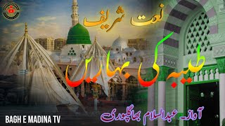 Wijdan Munawwar Hai | Beautiful Naat Sharif | Abdussalam Bhagalpuri | MD Maqsood Alam Qasmi 