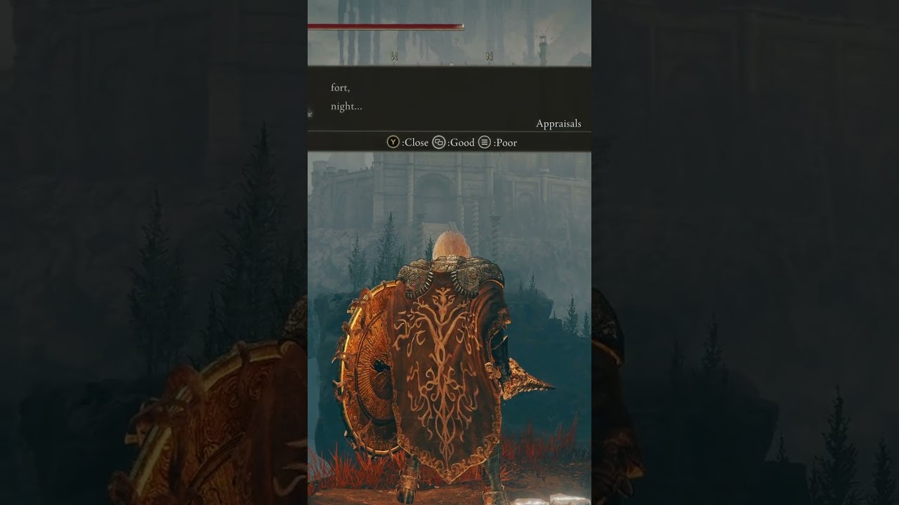 Messages in Elden Ring...