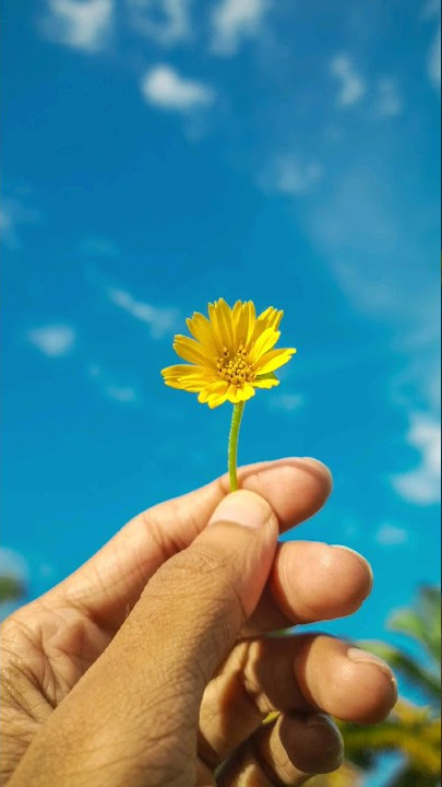 Download lagu Sangathil paadatha kavithai... #shorts #trending #tamilsong #status #viral #youtube #photography