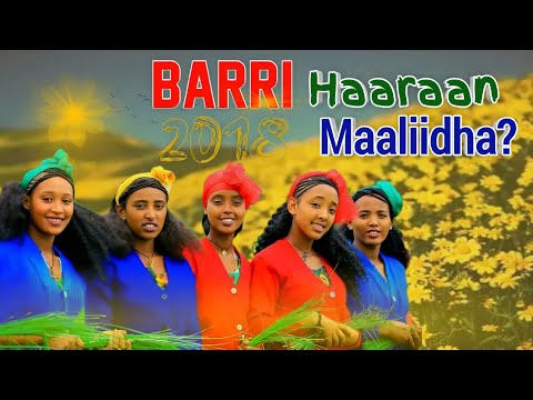 Barri Haaraan Maaliidha 2018 Mulugetaofficial At