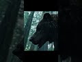 Bear Attack Scene in The Revenant (2015) 🐻