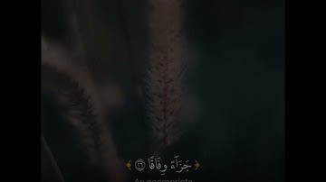 تلاوة هادئة وخاشعة للقارئ فؤاد كريم الكردي