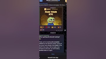Memefi Airdrop Criteria To Get Your Airdrop Allocated!🤑