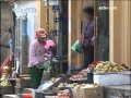 天网 我的500万