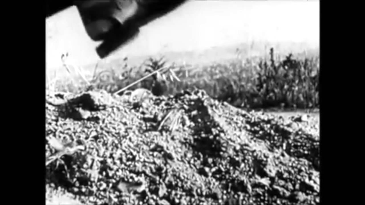 ⚛⚛ETCH - STARCHILD⚛⚛