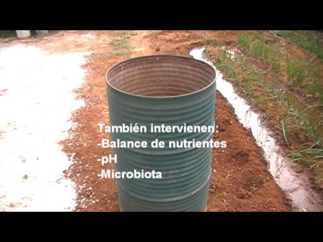 Transforma un tambo en un compostador de jardín