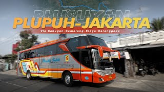 'JALUR BLUSUKAN', RUTE JARANG TEREKSPOS! 🤩 - Trip Rosalia Indah HDD 512 Plupuh-Jakarta (Part 1)
