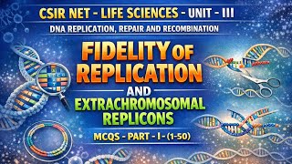 FIDELITY OF REPLICATION, EXTRACHROMOSOMAL REPLICONS