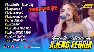 Download Lagu AJENG FEBRIA OM NIRWANA COMEBACK FULL ALBUM DANGDUT 2025 | CINTA DARI SEBERANG, TANPA IKLAN‼️ MP3