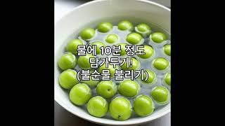 매실 제대로 씻어야 금! (식약처 꿀팁) #매실 #매실청 #매실세척법 #식약처 #건강관리 #제철과일