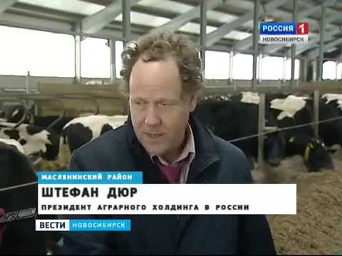 Сибирская нива ревякина