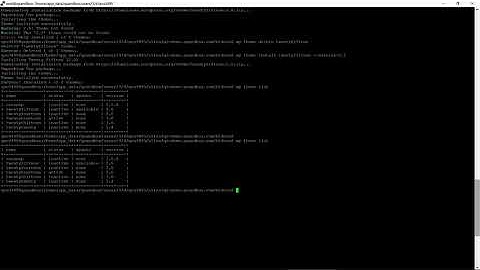 WP CLI Tutorial - wp cli theme update command part 1 of 2