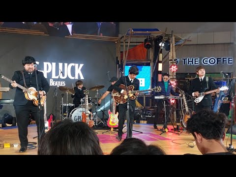 G-PLUCK (The Beatles