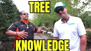 This Guy Is a Wizard About Trees! // If You're a Landscaper or Arborist, Watch This