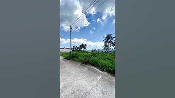 Đất 2 mặt tiền đường. #batdongsan #dautubatdongsan #bdsbinhthuan #bdsnghiduong #datnengiare #datnen