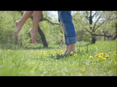 يا ابو شعور رقيقة هاني عابدين رانيا محجوب