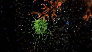 Spatial Mapping – The Future of Personalised Medicine