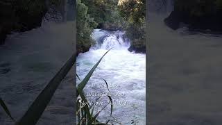 If You Like Waterfalls You Will Like This walking waterfalls newzealand