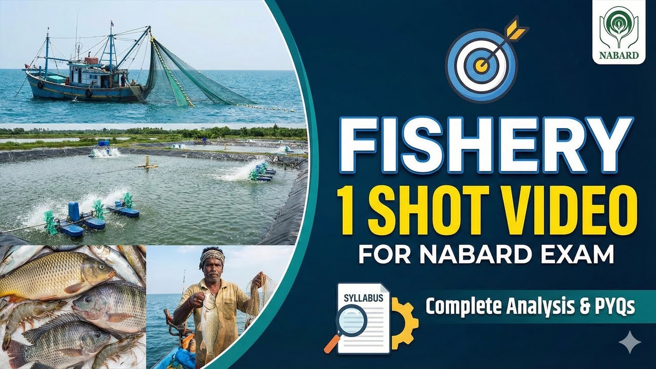 One Shot video on fisheries