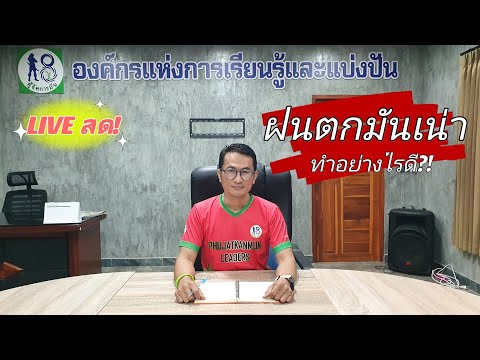 🔴LIVEสด! ฝนตกน้ำท่วมมันเน่าทำไงดี? ผู้จัดการมัน