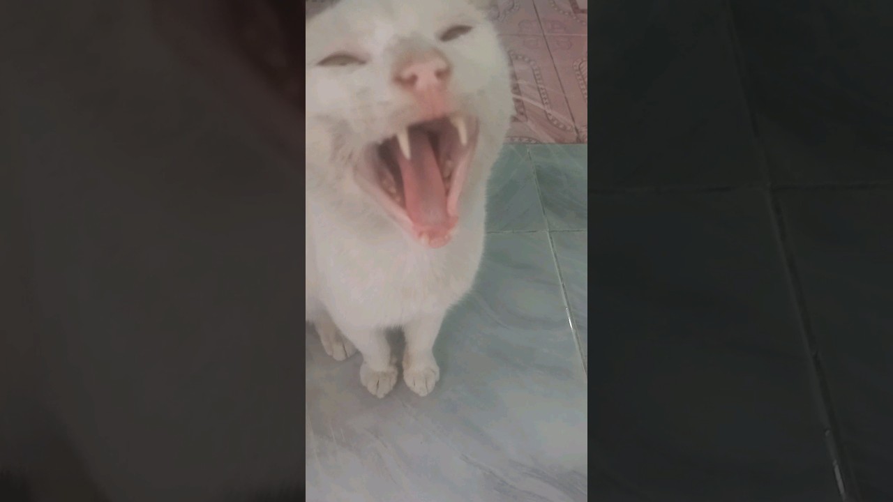 watch out for swallowing 