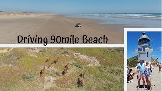 Driving 90 mile beach - A MUST DO when travelling NEW ZEALAND
