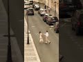 عيشالك اليسا حالات وتس حب اغاني حب حالات واتس اغاني حب تصميم فيديوهات حب  لايك 