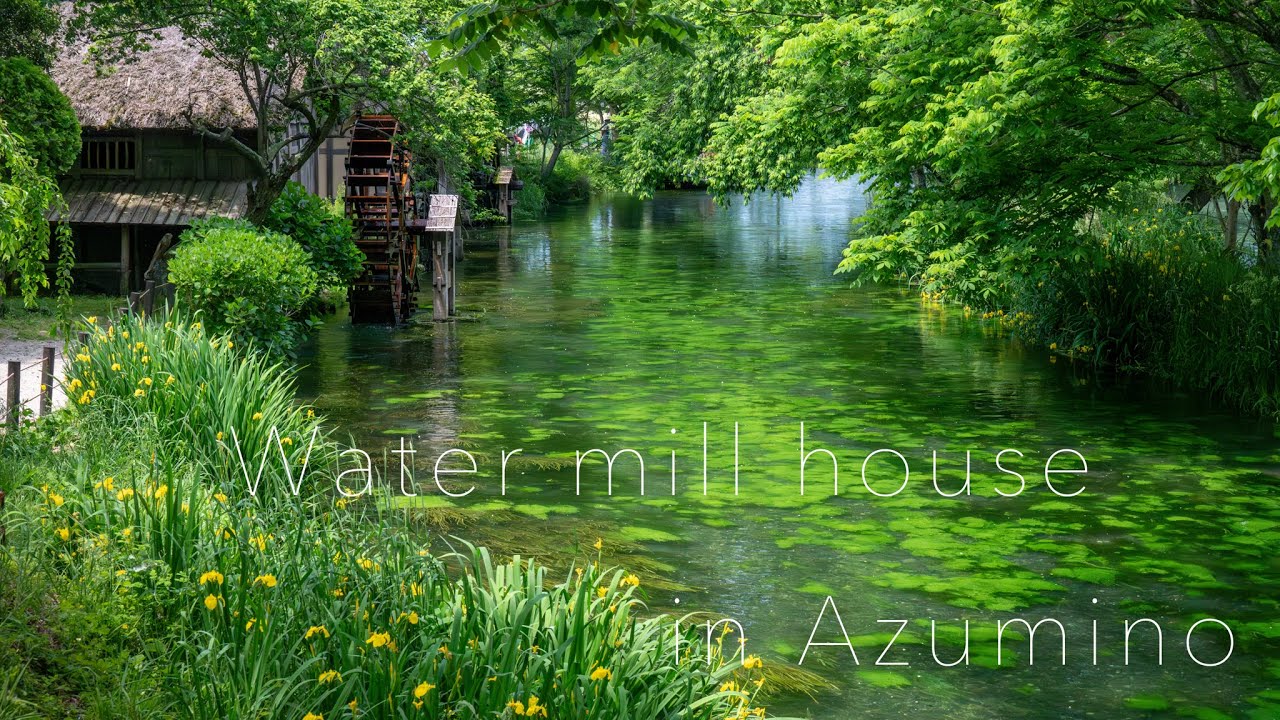 水辺風景】水車小屋と北アルプスの伏流水が織りなす日本の原風景 - YouTube